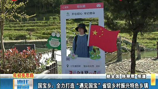 国宝乡：全力打造“遇见国宝”省级乡村振兴特色乡镇 - 憨鼠网