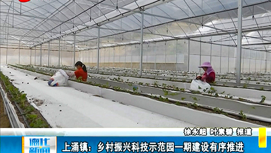 上涌镇：乡村振兴科技示范园一期建设有序推进 - 憨鼠网
