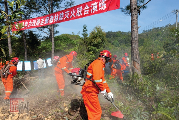 电力线下巧种“树” - 憨鼠网