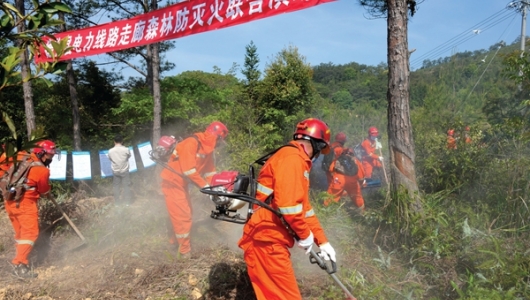 电力线下巧种“树” - 憨鼠网