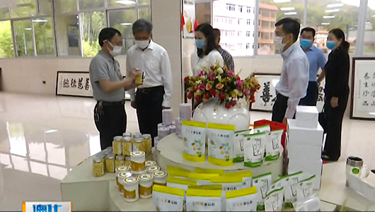 省政协调研组到德化开展调研活动 - 憨鼠网