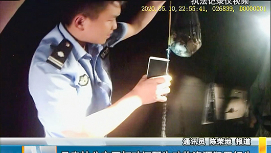 县森林公安严打破坏野生动物资源犯罪行为 - 憨鼠网