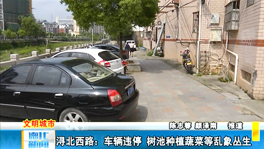 浔北西路：车辆违停、树池种植蔬菜等乱象丛生 - 憨鼠网