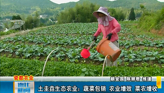 土圭垚生态农业：蔬菜包销 农业增效菜农增收 - 憨鼠网