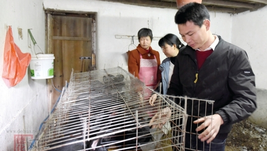 张建友：有政府“输血”，还需自己“长肉” - 憨鼠网