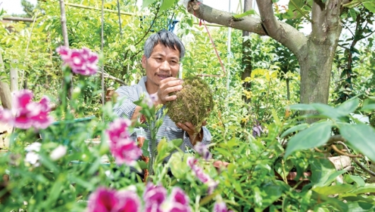 林清桥：“只要有信心，生活一定会好起来” - 憨鼠网