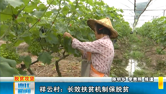 祥云村：长效扶贫机制保脱贫 - 憨鼠网