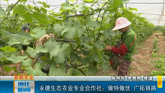 永德生态农业专业合作社：做特做优 广拓销路 - 憨鼠网