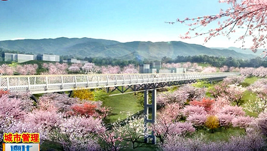 凤凰山绿道：有望明年底建成 - 憨鼠网