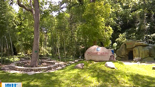 水口镇：建设安全生态水系 实现河畅水清岸绿景美 - 憨鼠网