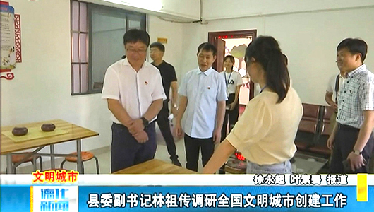 县委副书记林祖传到挂钩文明片区调研全国文明城市创建工作 - 憨鼠网