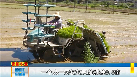 上涌镇：机械插秧唱主角 省时又省力 - 憨鼠网