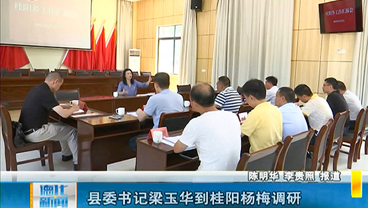 县委书记梁玉华到桂阳杨梅调研 - 憨鼠网