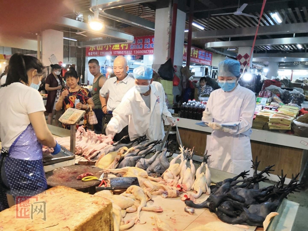 我县开展市场环境新型冠状病毒检测 - 憨鼠网