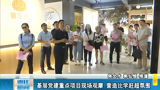 基层党建重点项目现场观摩 营造比学赶超氛围 - 憨鼠网