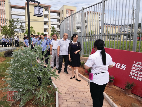 县市场监督管理局党委开展主题党日活动 - 憨鼠网