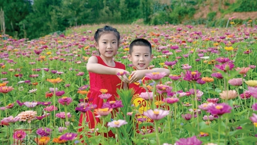 花心思 旧时空地变花海 - 憨鼠网