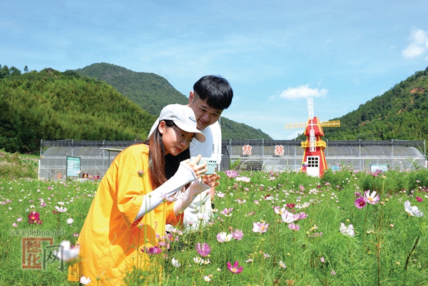 乡村游添新意 - 憨鼠网