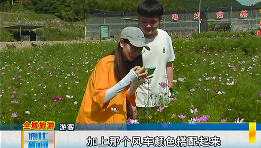 雷峰镇潘祠村：波斯菊花开艳丽 扮靓乡村 - 憨鼠网