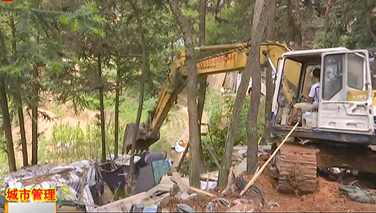 观音山违建鸡棚 依法清理拆除 - 憨鼠网