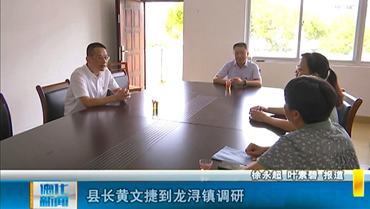 县长黄文捷到龙浔镇调研 - 憨鼠网