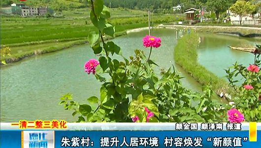朱紫村：提升人居环境  村容焕发“新颜值” - 憨鼠网