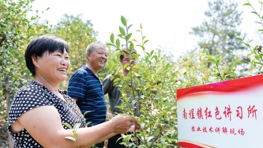 传承红色基因 共建“红色学堂” - 憨鼠网