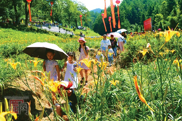 “母亲花”开幸福来 - 憨鼠网