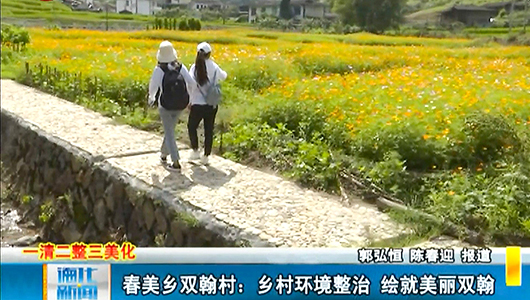 春美乡双翰村：乡村环境整治 绘就美丽双翰 - 憨鼠网