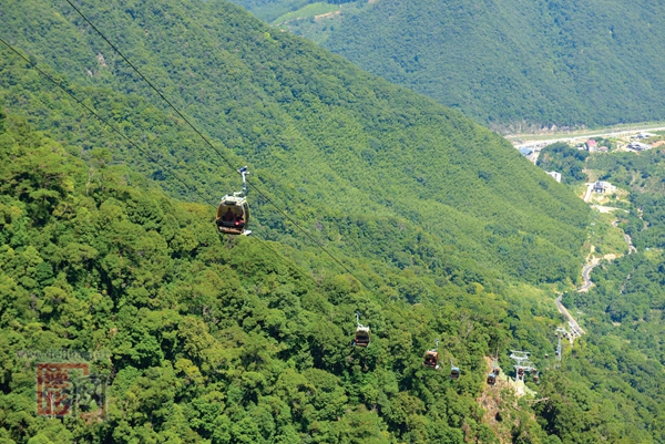 税务政策为全域旅游添动能 - 憨鼠网