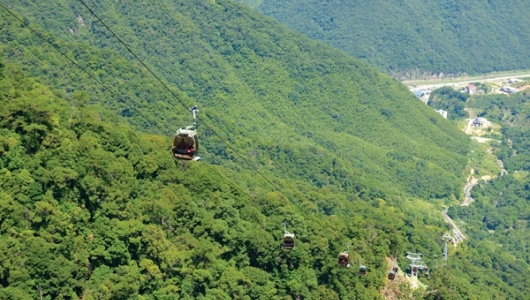 税务政策为全域旅游添动能 - 憨鼠网