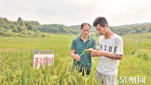 德化：科学种养 农业生产插上“智慧”翅膀 - 憨鼠网