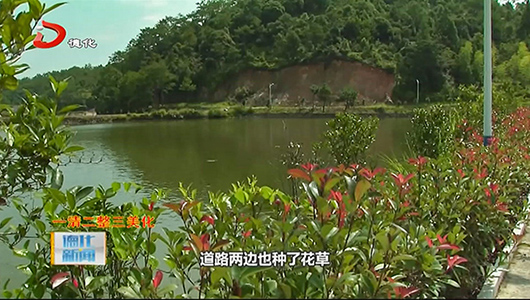 南埕镇高沶村：乡村整治展新颜 - 憨鼠网