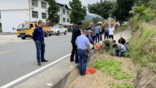 德化公路分局开展“信用交通宣传月”活动 - 憨鼠网