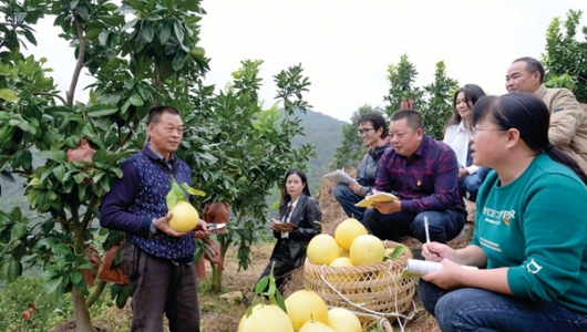 以“活”字为突破口，推动“三会一课”三变化 - 憨鼠网