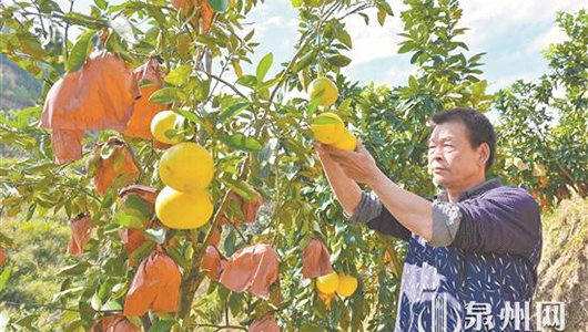 夫妻破解幸福“蜜”码 甘了自家也甜了乡亲 - 憨鼠网