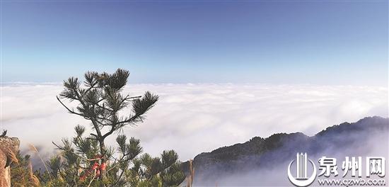 冷空气来袭 高山现云海 - 憨鼠网