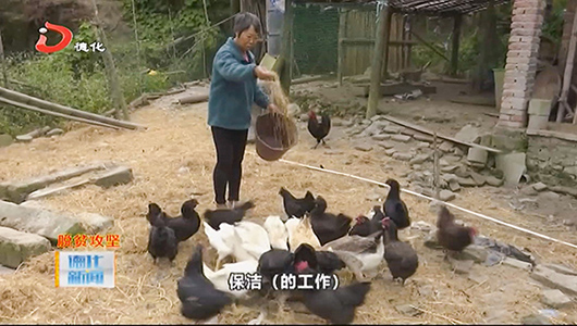 南埕镇：脱贫攻坚见成效 - 憨鼠网