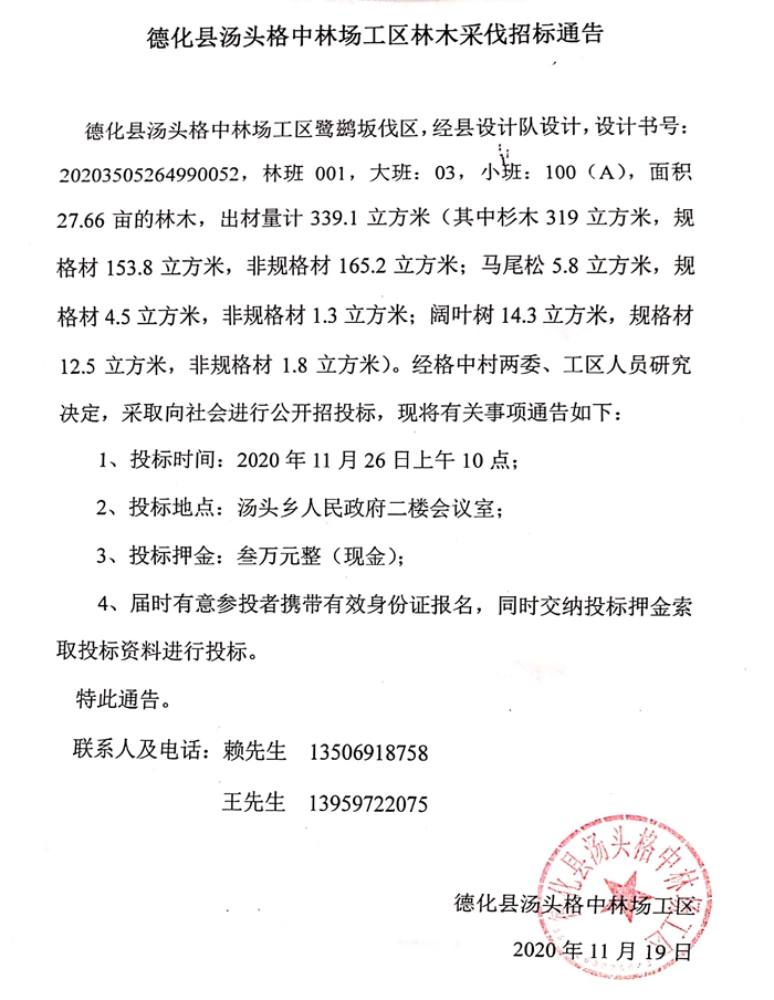 德化县汤头格中林场工区林木采伐招标通告 - 憨鼠网