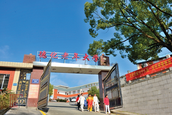 丹心铸辉煌 扬帆再起航 - 憨鼠网