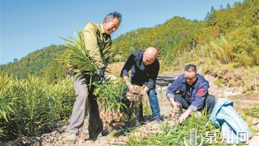 驻村更助村 小山村实现大蜕变 - 憨鼠网