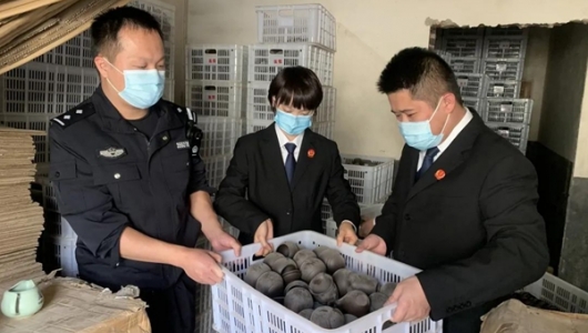 德化销毁49700件侵权陶瓷产品 - 憨鼠网