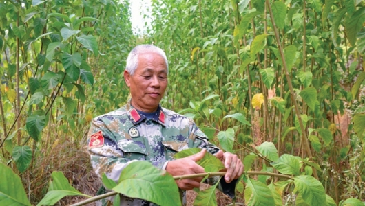 退役不“退色” 转业不转志 - 憨鼠网