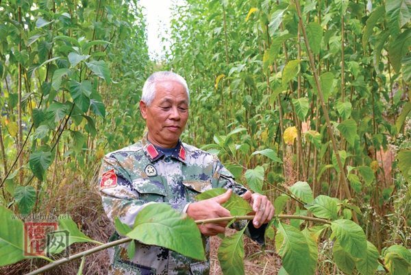 退役不“退色” 转业不转志 - 憨鼠网