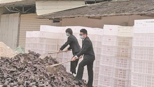 德化法院集中销毁近5万件侵权陶瓷产品 - 憨鼠网