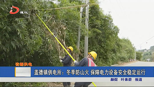 盖德镇供电所：冬季防山火 保障电力设备安全稳定运行 - 憨鼠网