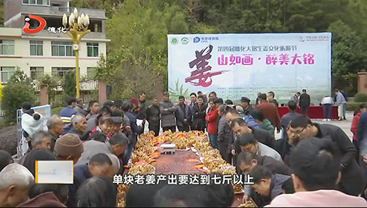 大铭乡：以“姜”为媒 打造富民产业 - 憨鼠网