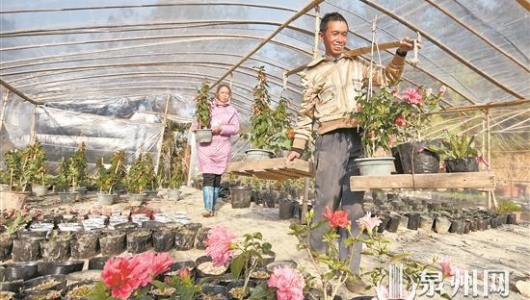 扶贫扶智又扶志 幸福花开结硕果 - 憨鼠网