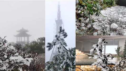 德化九仙山迎来今冬第一场雾凇 - 憨鼠网