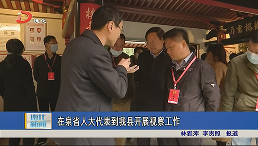 在泉省人大代表到德化县开展视察工作 - 憨鼠网
